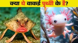 Creatures That Feel Wrong to Be Real 🤯 | Mystery Animals