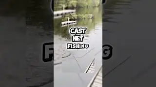 🎣😱 CAST NET JACKPOT! Catching Colorful Fish in Florida! 🐟🌈 | GameAndFish Kid