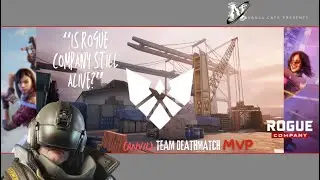 Rogue Company is better with a Squad! - Rogue Company TDM Gameplay