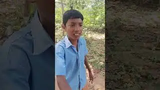 जितना बदला लेदर है 😱#ahort#machar#ledra#dallyblog #love #adhuniknagpurisong