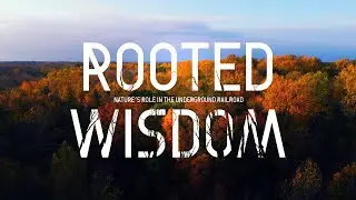 Part 3: Refuge & Shelter | Rooted Wisdom: Nature&rsquo;s Role in the Underground Railroad