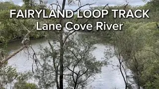 Hiking Fairyland Loop Track, Lane Cove River