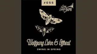 Swing in Spring