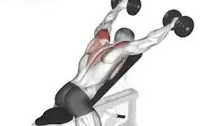 3 Best Shoulder Exercise At Home | Best Shoulder Exercise Gym #healthtips #shoulderworkout #gym