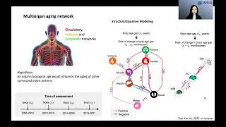 OHBM 2022 | 206 | Symposium | Ye Tian | Beyond brain age prediction: Crosstalk between brain age a&hellip;