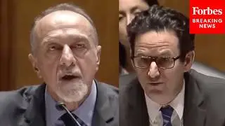 'Then What?': Brian Schatz Grills State Department Official On Haiti Stabilization Plan