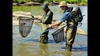 Environmental Flow assessment along the Mara River
