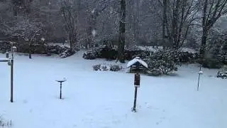 Snow in Bj&auml;rnum, 20-01-2015