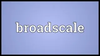 Broadscale Meaning