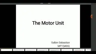 Motor unit and types of muscles