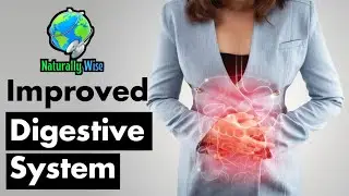 Optimize Digestive Health: Supercharged Foods