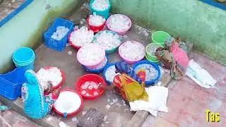 Tasar Butterfly  eggs Laying Box washing process