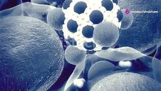 How Lipoprotein Lipase Activators Work!