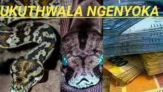 UKUTHWALA NGENYOKA