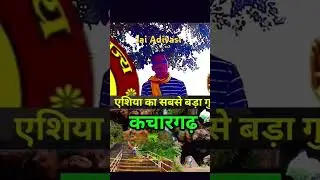 33 Gods of Adivasi
