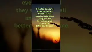 Tree#quotes #leaves #subscribers #foryou #motivation