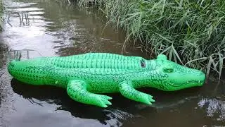 INTEX 58562 - Inflatable Big Beach Green Crocodile 203 CM Floating on the River  - 3.08.2021