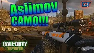 Asiimov Camo - COD WW2 paintjob
