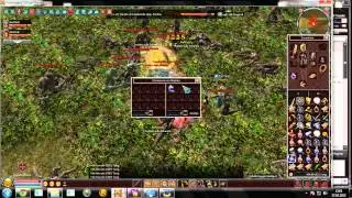 bug FinaLongju2
