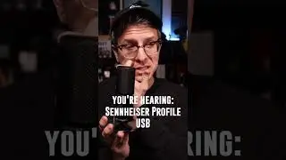 Neat Bumblebee II vs  Sennheiser Profile USB