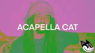 Earl Sweatshirt - Static Acapella 70 BPM - 4K Acapella Cat