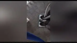 Full House Carpet Cleaning & Pet Urine Treatment Coleraine | Move-In Ready | Cleaning Contractors NI