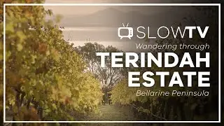 SLOW TV | Wander Terindah Estate - The Bellarine Peninsula (Victoria, Australia)