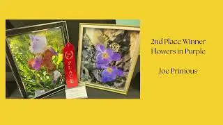 2024 SilverArts winners Polk County