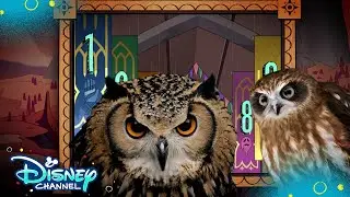 Episode 5 | Look Hooo's Talking | The Owl House | Disney Channel