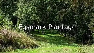 Egsmark Plantage