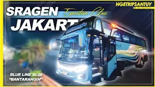 BISNYA NYAMAN!!! CUKUP SUKSES DI JALUR AKAP | Trip by Blue Line BL08 