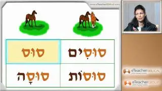Learn Biblical Hebrew - lesson 6 - Nouns and Adjectives | by eTeacherBiblical.com
