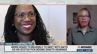 Judge Jackson Senate Hearings Begin: Executive Director Judith Browne Dianis on MSNBC