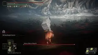Malenia One-Hit Kill [WORLD RECORD] [MELEE ONLY] [PHASE 2 SKIP]