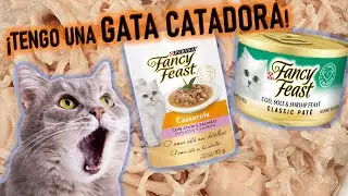 Mis GATOS prueban 7 presentaciones de FANCY FEST de PURINA