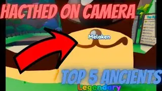 TOP 5 PEOPLE WHO HATCHED ANCIENT PETS IN MS2 🤯 (MINING SIMULATOR 2)