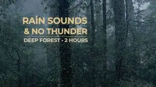 Deep Sleep in the Glowing Forest 🌌 Bioluminescent Nature Sounds for Insomnia & Relaxation | Atmofy