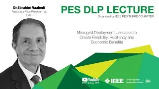 DLP Lecture: Dr. Ebrahim Vaahedi