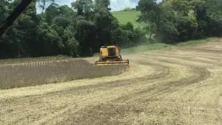 5090 New Holand Colhendo soja 2019 Oeste do Paran&aacute;