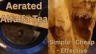 How I Make Aerated Alfalfa Tea | Simple Organic Grow Input