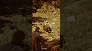 Unexpected Bear Attack 😱 | RDR2 Open World Gameplay