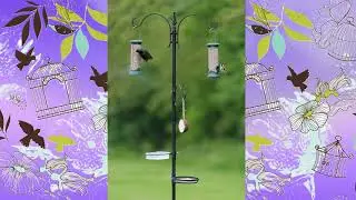 Wild Bird Feeding Station Review
