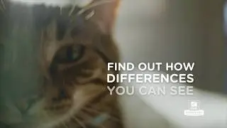 Hill&rsquo;s&trade; Science Diet&trade; It All Starts with Science &ndash; Cat