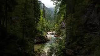 Austria&rsquo;s 6 National Parks: From Glaciers to Wetlands #countryfacts #history #geographyfacts