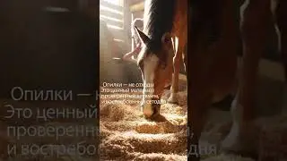 Опилки &mdash; топливо, утеплитель и основа стройматериалов