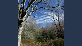 Forgotten Playground