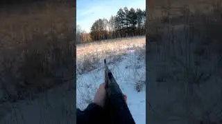 Охота на косулю 🦌 Fabarm iris 308 win
