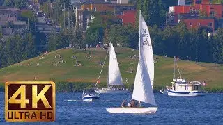 4K Урбан релакс видео - 3 часа | Звуки природы - Озеро Юнио, Сиэтл