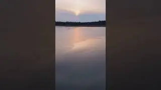 Сезон охоты на водоплавающию дичь открыта👏👏👏
