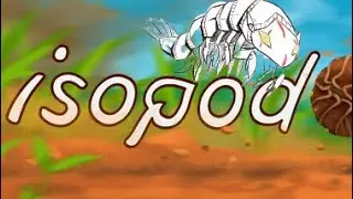 a isopods life